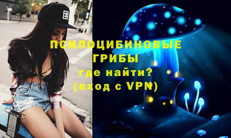 Галлюциногенные грибы Psilocybe  Павлово 